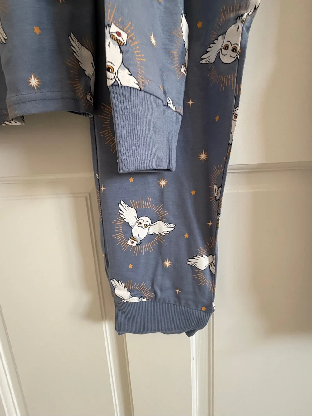 Harry Potter Hedwig Owl Pajama Set Kids 12-13 Blue PJs